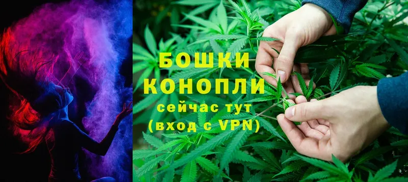 KRAKEN ссылки  Емва  МАРИХУАНА White Widow 